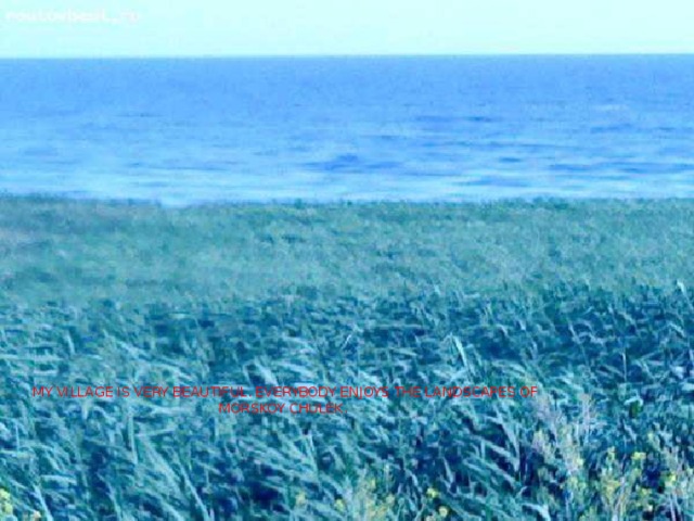 Хутор расположен на берегу Таганрогского залива My village is very beautiful. Everybody enjoys the landscapes of Morskoy Chulek.  
