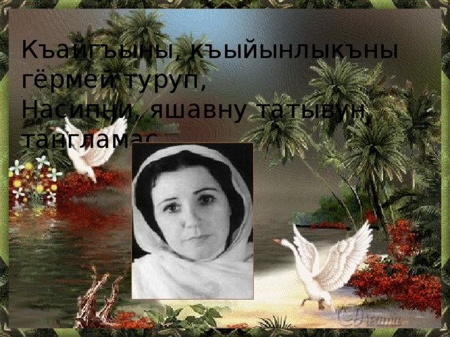 Къайгъыны, къыйынлыкъны гёрмей туруп, Насипни, яшавну татывун тангламас 