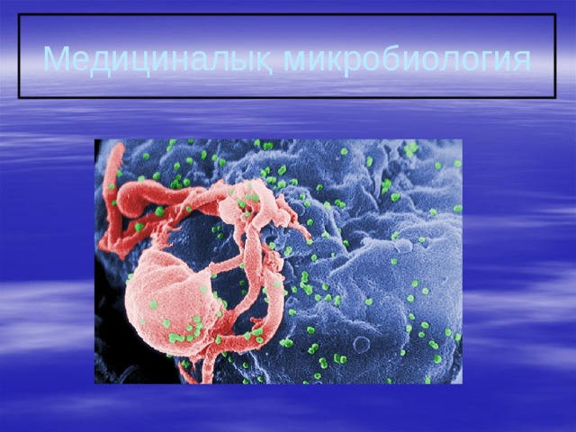 Медициналық микробиология 