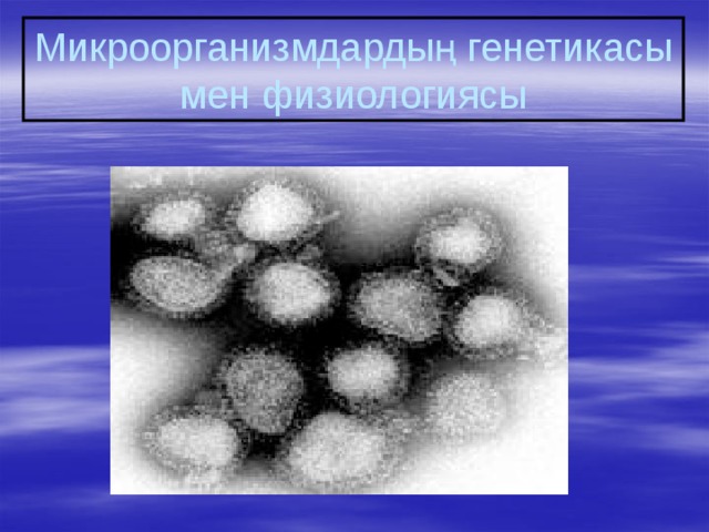 Микроорганизмдардың генетикасы мен физиологиясы 