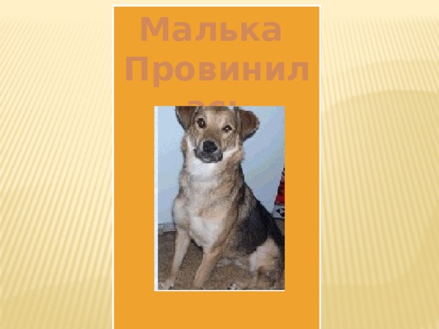 Малька Провинилась       