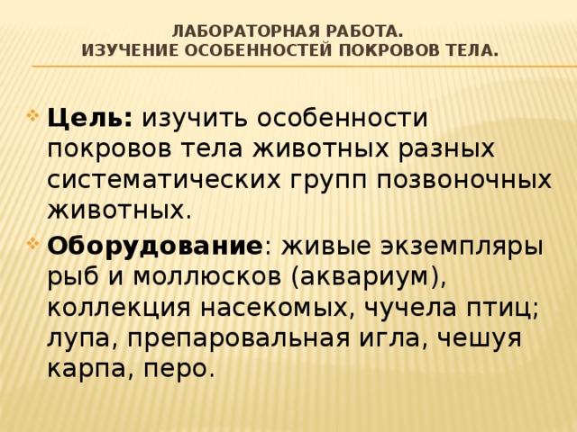 Лабораторная работа.  Изучение особенностей покровов тела.   Цель: изучить особенности покровов тела животных разных систематических групп позвоночных животных. Оборудование : живые экземпляры рыб и моллюсков (аквариум), коллекция насекомых, чучела птиц; лупа, препаровальная игла, чешуя карпа, перо. 