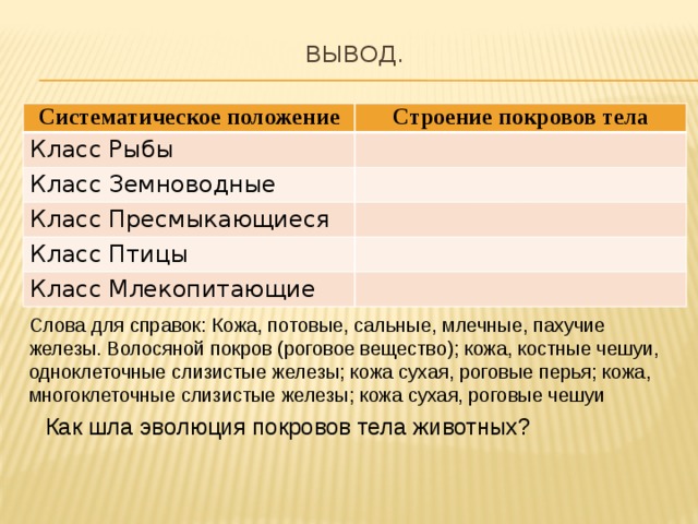 Слова для справок: Кожа, потовые, сальные, млечные, пахучие железы. Волосяной покров (роговое вещество); кожа, костные чешуи, одноклеточные слизистые железы; кожа сухая, роговые перья; кожа, многоклеточные слизистые железы; кожа сухая, роговые чешуи Вывод.   Систематическое положение Строение покровов тела Класс Рыбы Класс Земноводные Класс Пресмыкающиеся Класс Птицы Класс Млекопитающие Как шла эволюция покровов тела животных? 