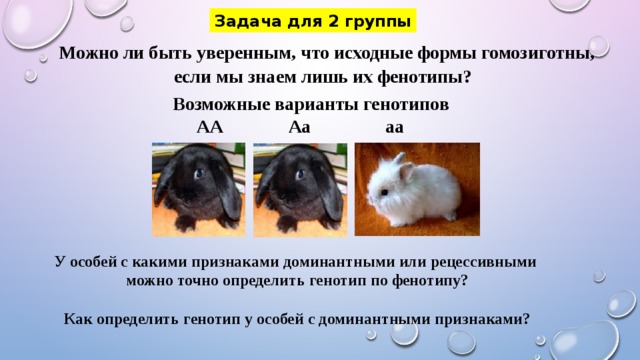Задача для 2 группы  Можно ли быть уверенным, что исходные формы гомозиготны, если мы знаем лишь их фенотипы? Возможные варианты генотипов  АА Аа аа У особей с какими признаками доминантными или рецессивными можно точно определить генотип по фенотипу?  Как определить генотип у особей с доминантными признаками?