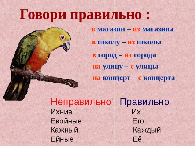 Говори правильно : в магазин – из магазина в школу – из школы в город – из города на улицу – с улицы на концерт – с концерта Неправильно Правильно Ихние  Их Евойные Его Кажный Каждый Ейные Её  
