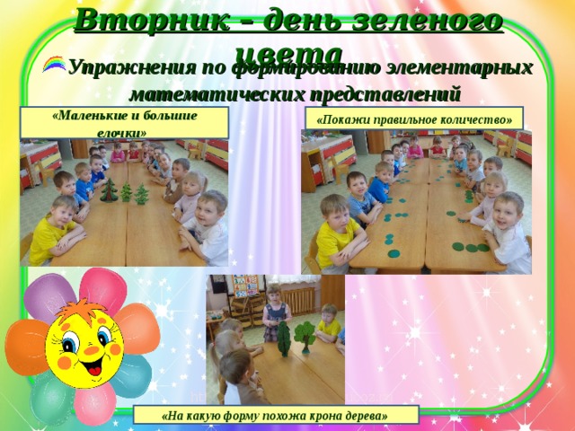 Вторник – день зеленого цвета Упражнения по формированию элементарных математических представлений «Маленькие и большие елочки» «Покажи правильное количество» «На какую форму похожа крона дерева» 