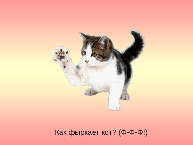 Как фыркает кот? (Ф-Ф-Ф!) 