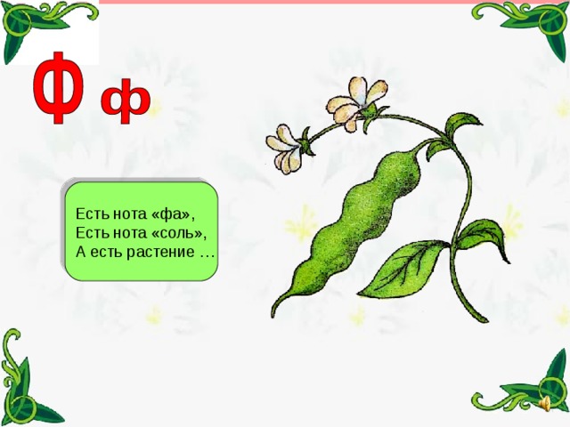 Есть нота «фа», Есть нота «соль», А есть растение … 