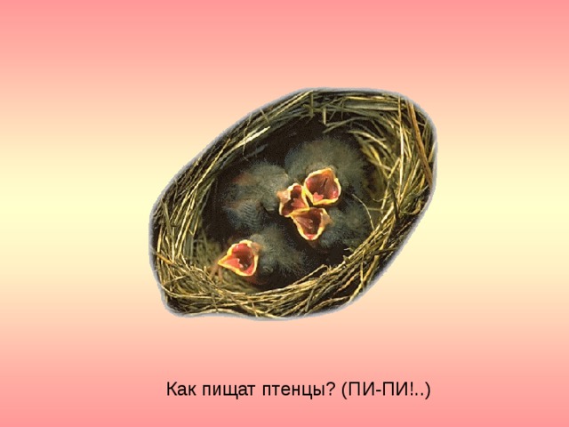 Как пищат птенцы? (ПИ-ПИ!..) 