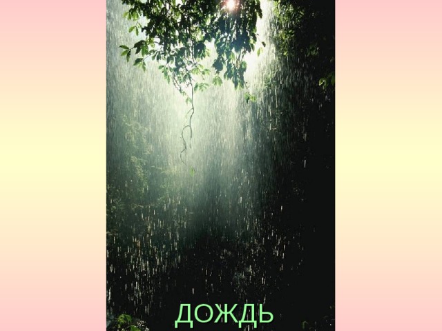 ДОЖДЬ 