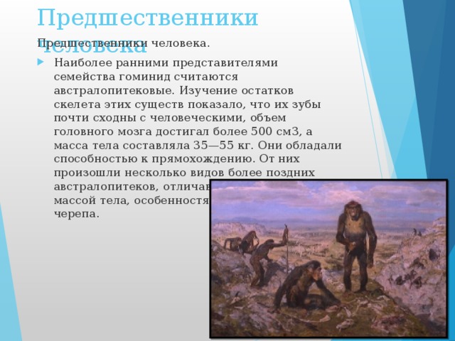 Предшественники человека Предшественники человека. Наиболее ранними представителями семейства гоминид считаются австралопитековые. Изучение остатков скелета этих существ показало, что их зубы почти сходны с человеческими, объем головного мозга достигал более 500 см3, а масса тела составляла 35—55 кг. Они обладали способностью к прямохождению. От них произошли несколько видов более поздних австралопитеков, отличавшихся размерами, массой тела, особенностями в строении черепа. 