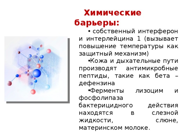 Химические барьеры:  собственный интерферон и интерлейцина 1 (вызывает повышение температуры как защитный механизм) Кожа и дыхательные пути производят антимикробные пептиды, такие как бета – дефензина Ферменты лизоцим и фосфолипаза бактерицидного действия находятся в слезной жидкости, слюне, материнском молоке. 