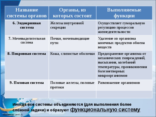 Название системы органов Органы, из которых состоит 6. Эндокринная система Железы внутренней секреции 7. Мочевыделительная система Выполняемые функции Почки, мочевыводящие пути 8. Покровная система Осуществляет гуморальную регуляцию процессов жизнедеятельности Кожа, слизистые оболочки Удаление из организма конечных продуктов обмена веществ 9. Половая система Предохранение организма от механических повреждений, высыхания, колебаний температуры, проникновения болезнетворных микроорганизмов Половые железы, половые протоки Размножение организмов Иногда все системы объединяются (для выполнения более сложной задачи) и образуют функциональную систему 