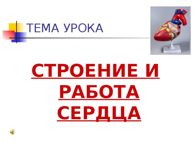 ТЕМА УРОКА СТРОЕНИЕ И РАБОТА СЕРДЦА 