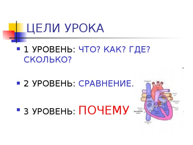 ЦЕЛИ УРОКА 1 УРОВЕНЬ: ЧТО? КАК? ГДЕ? СКОЛЬКО? 2 УРОВЕНЬ: СРАВНЕНИЕ… 3 УРОВЕНЬ:  ПОЧЕМУ ? 