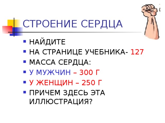 СТРОЕНИЕ СЕРДЦА НАЙДИТЕ НА СТРАНИЦЕ УЧЕБНИКА- 127 МАССА СЕРДЦА: У МУЖЧИН – 300 Г У ЖЕНЩИН – 250 Г ПРИЧЕМ ЗДЕСЬ ЭТА ИЛЛЮСТРАЦИЯ? 