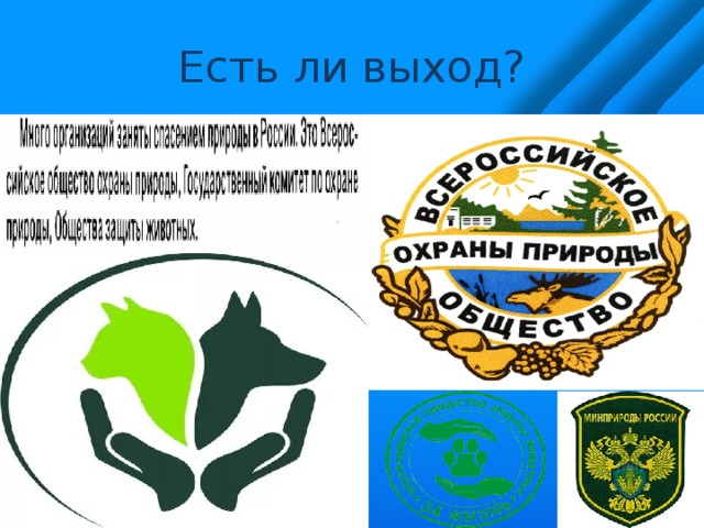Есть ли выход? 