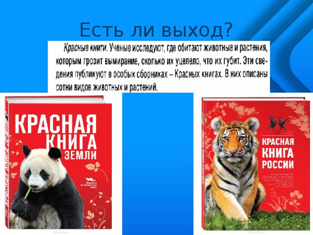 Есть ли выход? 