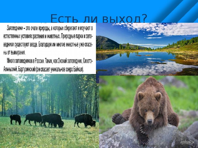 Есть ли выход? 