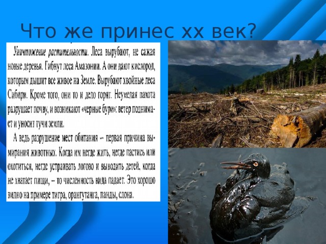 Что же принес xx век? 