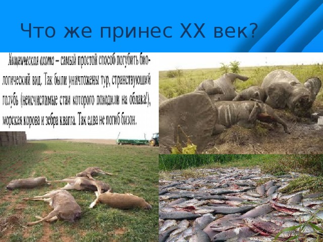 Что же принес XX век? 