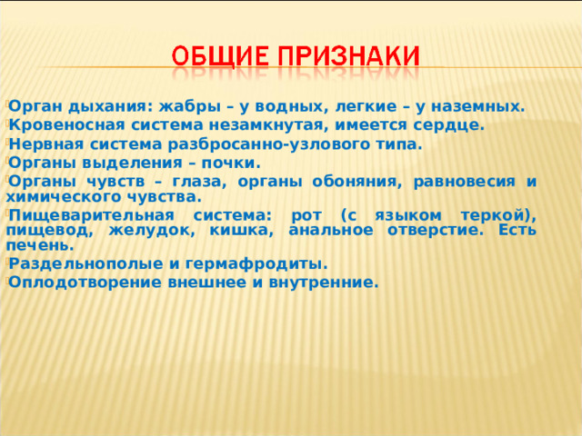 Орган дыхания: жабры – у водных, легкие – у наземных. Кровеносная система незамкнутая, имеется сердце. Нервная система разбросанно-узлового типа. Органы выделения – почки. Органы чувств – глаза, органы обоняния, равновесия и химического чувства. Пищеварительная система: рот (с языком теркой), пищевод, желудок, кишка, анальное отверстие. Есть печень. Раздельнополые и гермафродиты. Оплодотворение внешнее и внутренние. 