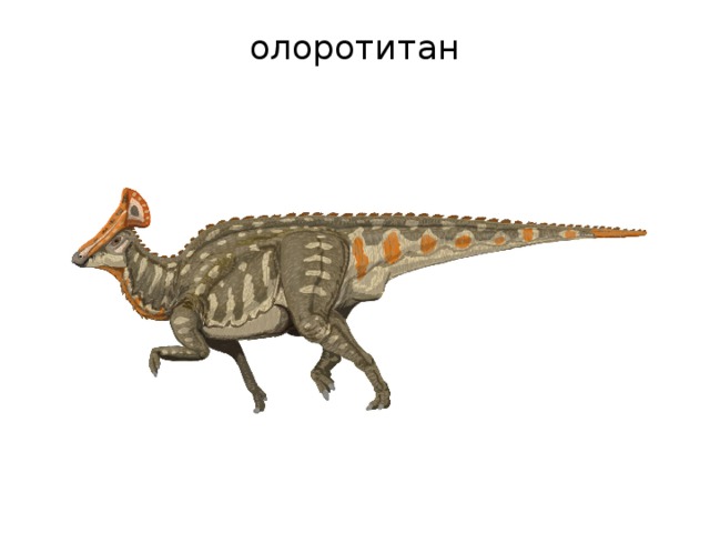 олоротитан   