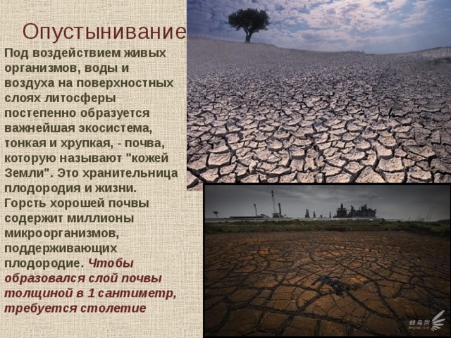 Опустынивание Под воздействием живых организмов, воды и воздуха на поверхностных слоях литосферы постепенно образуется важнейшая экосистема, тонкая и хрупкая, - почва, которую называют 