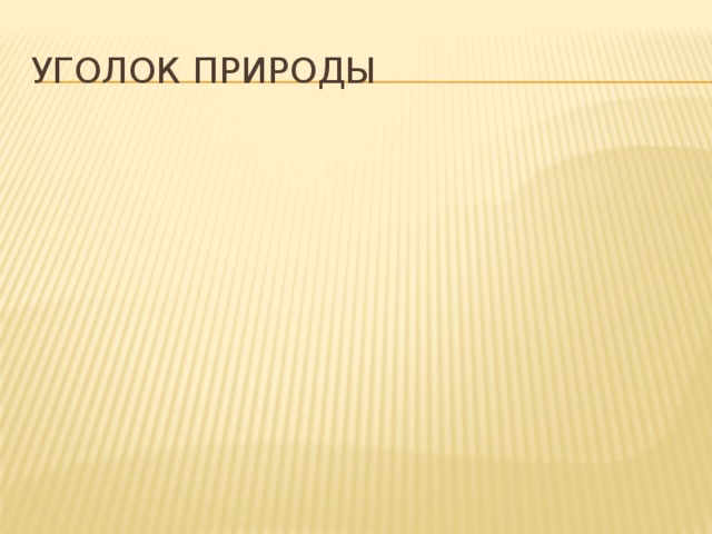 Уголок природы 