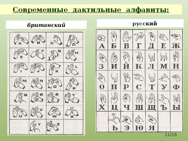 Современные дактильные алфавиты: русский британский  /16 