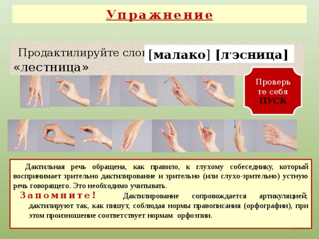 Упражнение  Продактилируйте слова: «молоко», «лестница» [л , эсница] [ малако ] Проверьте себя ПУСК  Дактильная речь обращена, как правило, к глухому собеседнику, который воспринимает зрительно дактилирование и зрительно (или слухо-зрительно) устную речь говорящего. Это необходимо учитывать.  Запомните! Дактилирование сопровождается артикуляцией; дактилируют так, как пишут, соблюдая нормы правописания (орфографии), при этом произношение соответствует нормам орфоэпии.   