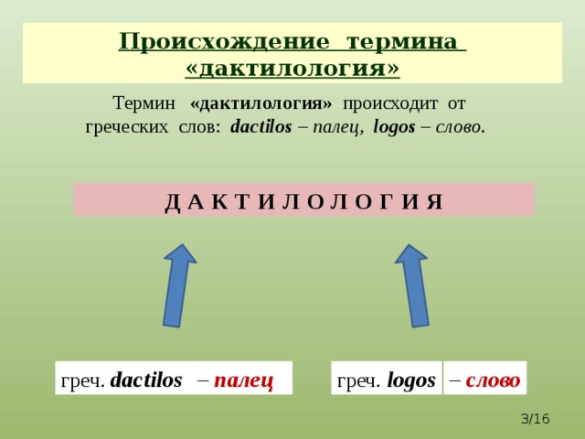 Происхождение термина «дактилология»  Термин «дактилология» происходит от  греческих слов: dactilos – палец, logos – слово. Дактилология греч.  dactilos  греч.  logos – палец – слово  /16 