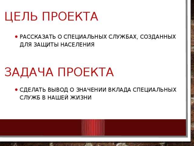Цель проекта Рассказать о специальных службах, созданных для защиты населения Задача проекта Сделать вывод о значении вклада специальных служб в нашей жизни 