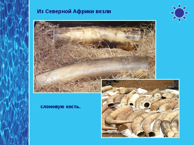 Из Северной Африки везли слоновую кость. 