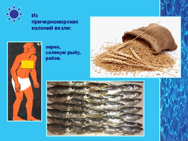 Из причерноморских колоний везли: зерно, соленую рыбу, рабов. 