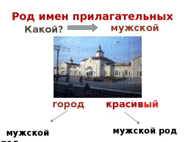 мужской род Род имен прилагательных мужской род  Какой? город красив ый  мужской род 