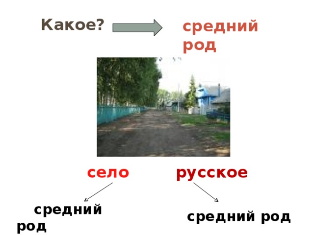 средний род средний род  Какое? село русское  средний род 