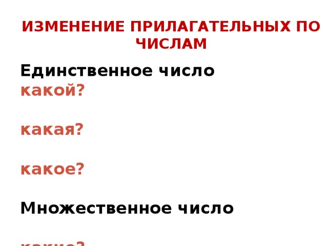 ИЗМЕНЕНИЕ ПРИЛАГАТЕЛЬНЫХ ПО ЧИСЛАМ Единственное число какой?  какая?  какое?  Множественное число  какие? 