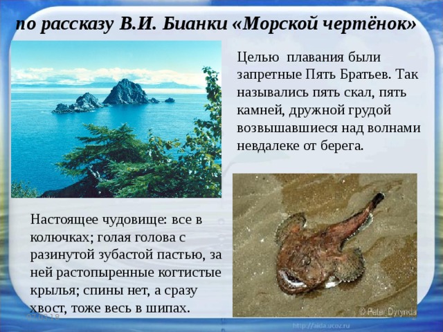 по рассказу В.И. Бианки «Морской чертёнок» Целью плавания были запретные Пять Братьев. Так назывались пять скал, пять камней, дружной грудой возвышавшиеся над волнами невдалеке от берега. Настоящее чудовище: все в колючках; голая голова с разинутой зубастой пастью, за ней растопыренные когтистые крылья; спины нет, а сразу хвост, тоже весь в шипах. 07.03.18  