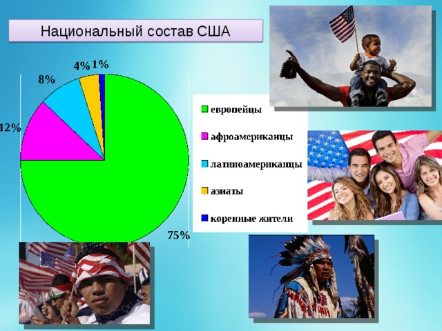 Национальный состав США 