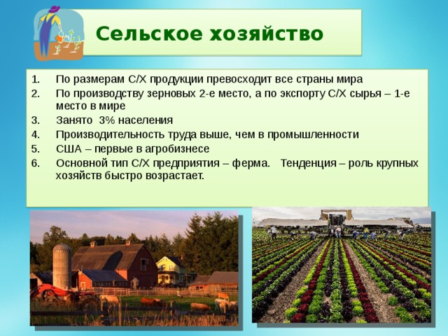 Сельское хозяйство По размерам С/Х продукции превосходит все страны мира По производству зерновых 2-е место, а по экспорту С/Х сырья – 1-е место в мире Занято 3% населения Производительность труда выше, чем в промышленности США – первые в агробизнесе Основной тип С/Х предприятия – ферма. Тенденция – роль крупных хозяйств быстро возрастает.  