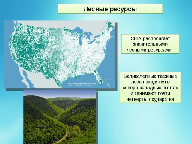 Лесные ресурсы США располагает значительными лесными ресурсами. Великолепные таежные леса находятся в северо-западных штатах и занимают почти четверть государства 