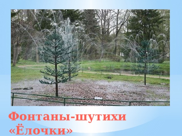 Эти Ёлочки «растут» южнее Дубка, на поляне и на самом деле они из металла, хотя от настоящих их отличить совсем непросто. Струи из них внезапно обдавали проходящих мимо разодетых дам и кавалеров. Ветви этих ёлок сделаны из трубочек, а на них напаяны жестяные иголки, выкрашенные в зелёный цвет. По ним-то и текла вода, обдававшая неожиданно гостей парка. Из-под ёлочек стекавшая вода попадала в небольшой пруд, который когда-то был аквариумом. Фонтаны-шутихи «Ёлочки» 