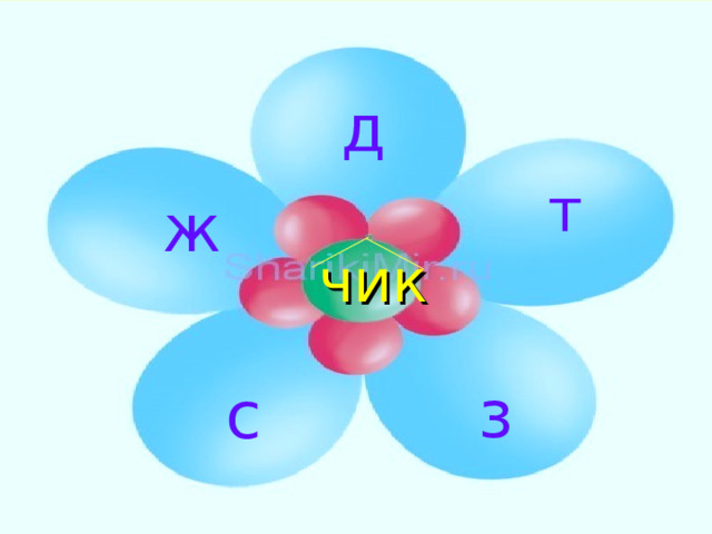 д т ж чик з с 