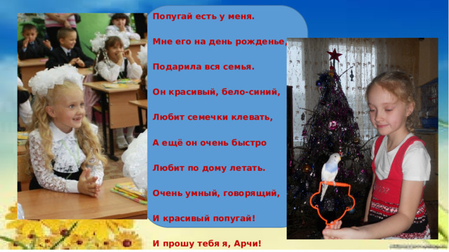 «Попугай»  Расскажу я вам, друзья, Попугай есть у меня. Мне его на день рожденье, Подарила вся семья. Он красивый, бело-синий, Любит семечки клевать, А ещё он очень быстро Любит по дому летать. Очень умный, говорящий, И красивый попугай! И прошу тебя я, Арчи! От меня не улетай ! 
