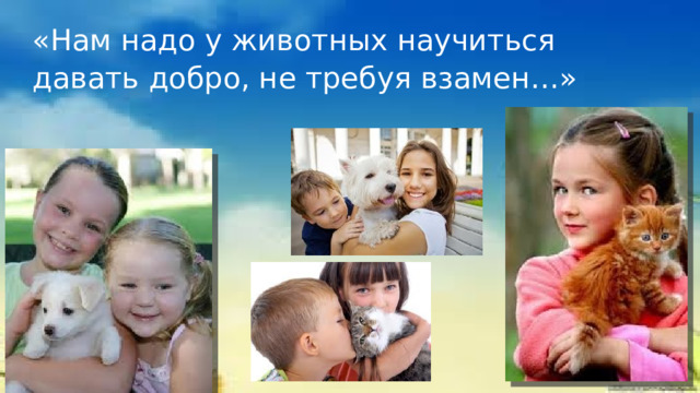 «Нам надо у животных научиться давать добро, не требуя взамен…» 