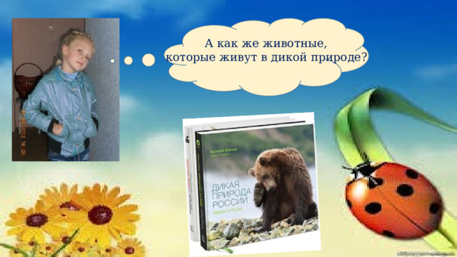  А как же животные, которые живут в дикой природе? 