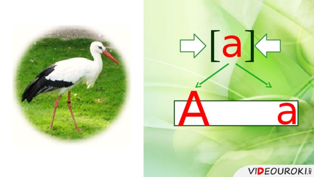 [ а ] А а 
