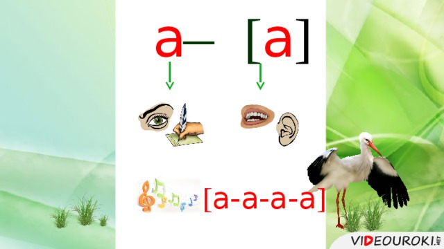а ̶ [ а ] [ а-а-а-а ] 