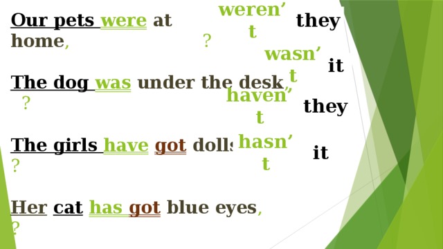 weren’t they Our pets were  at home , ?   The dog was  under the desk , ?   The girls have  got  dolls , ?   Her  cat  has got  blue eyes , ? wasn’t it haven’t they hasn’t it 